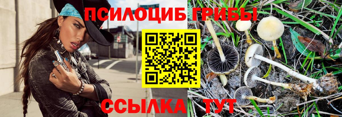 Псилоцибиновые грибы мухоморы  Вход с VPN  Тайшет 