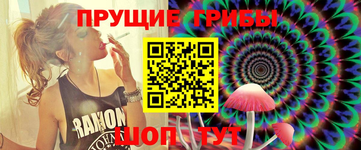 Псилоцибиновые грибы ЛСД Тайшет